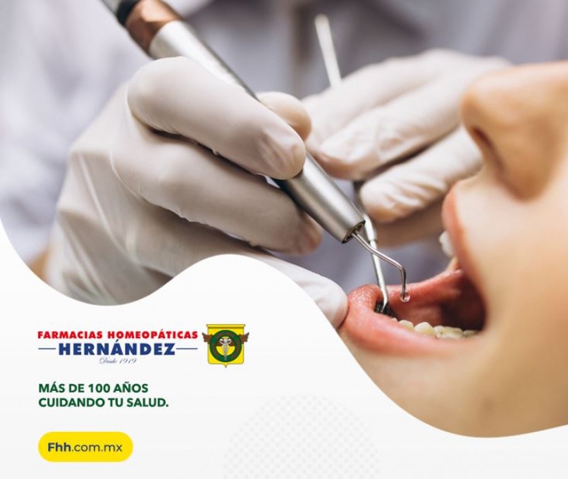 Kit Visita Dentista