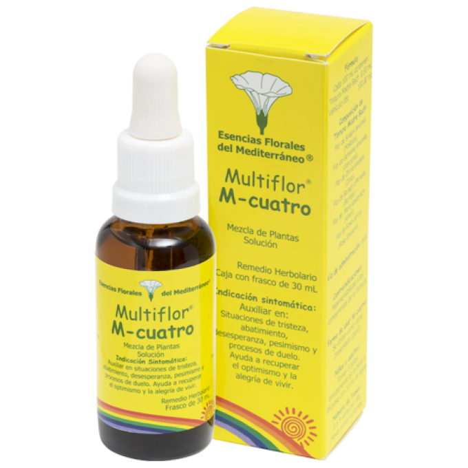 Alegría – Optimismo Multiflor #4